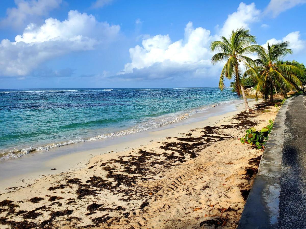 Bungalow l'Anjou Créole Sainte Anne Guadeloupe Exterior foto
