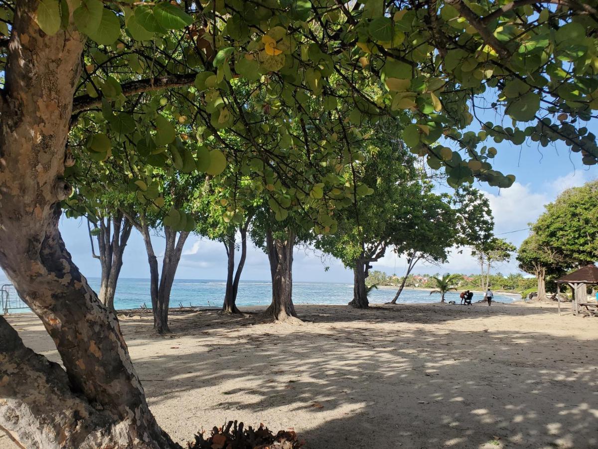 Bungalow l'Anjou Créole Sainte Anne Guadeloupe Exterior foto