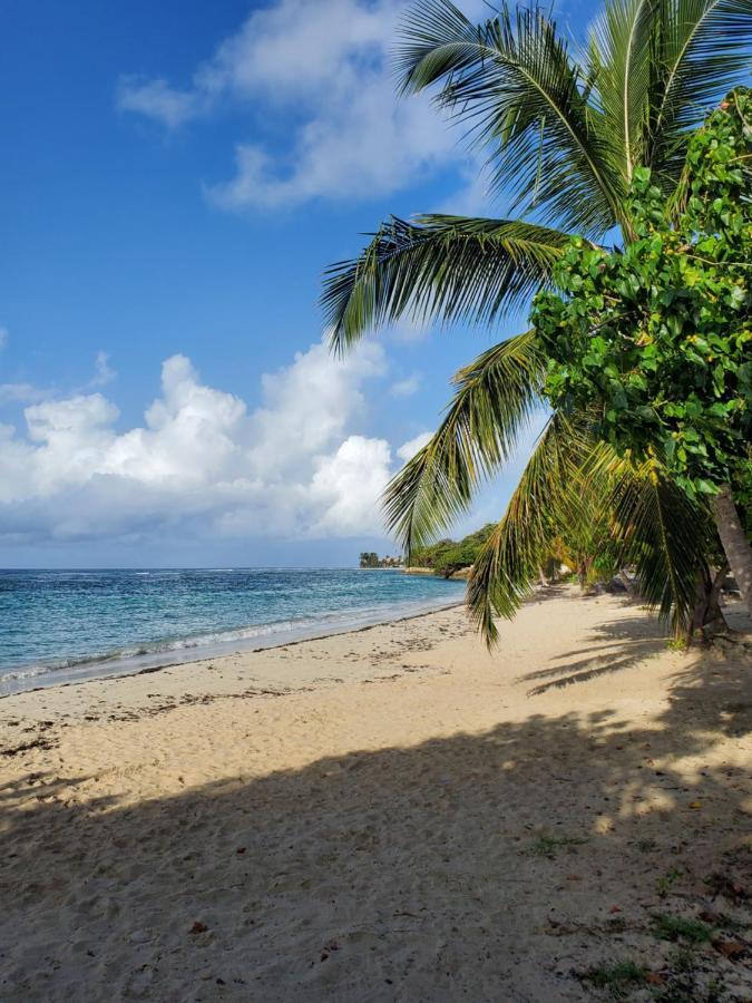 Bungalow l'Anjou Créole Sainte Anne Guadeloupe Exterior foto