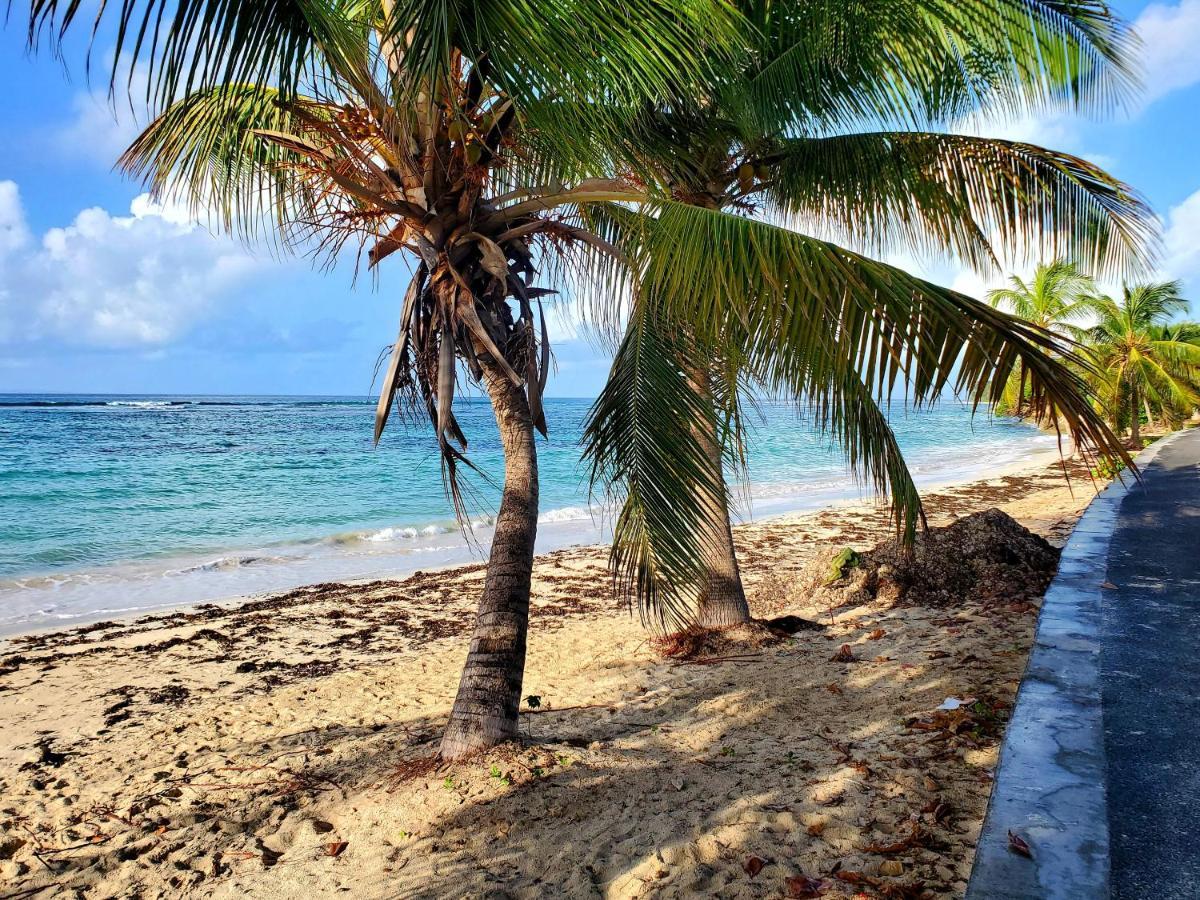 Bungalow l'Anjou Créole Sainte Anne Guadeloupe Exterior foto