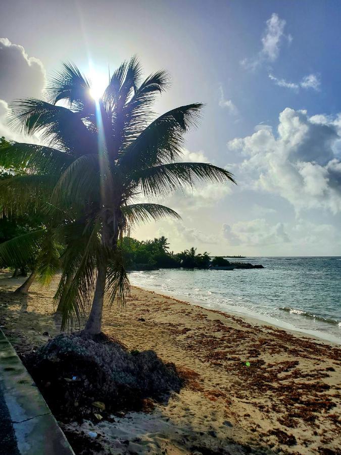 Bungalow l'Anjou Créole Sainte Anne Guadeloupe Exterior foto