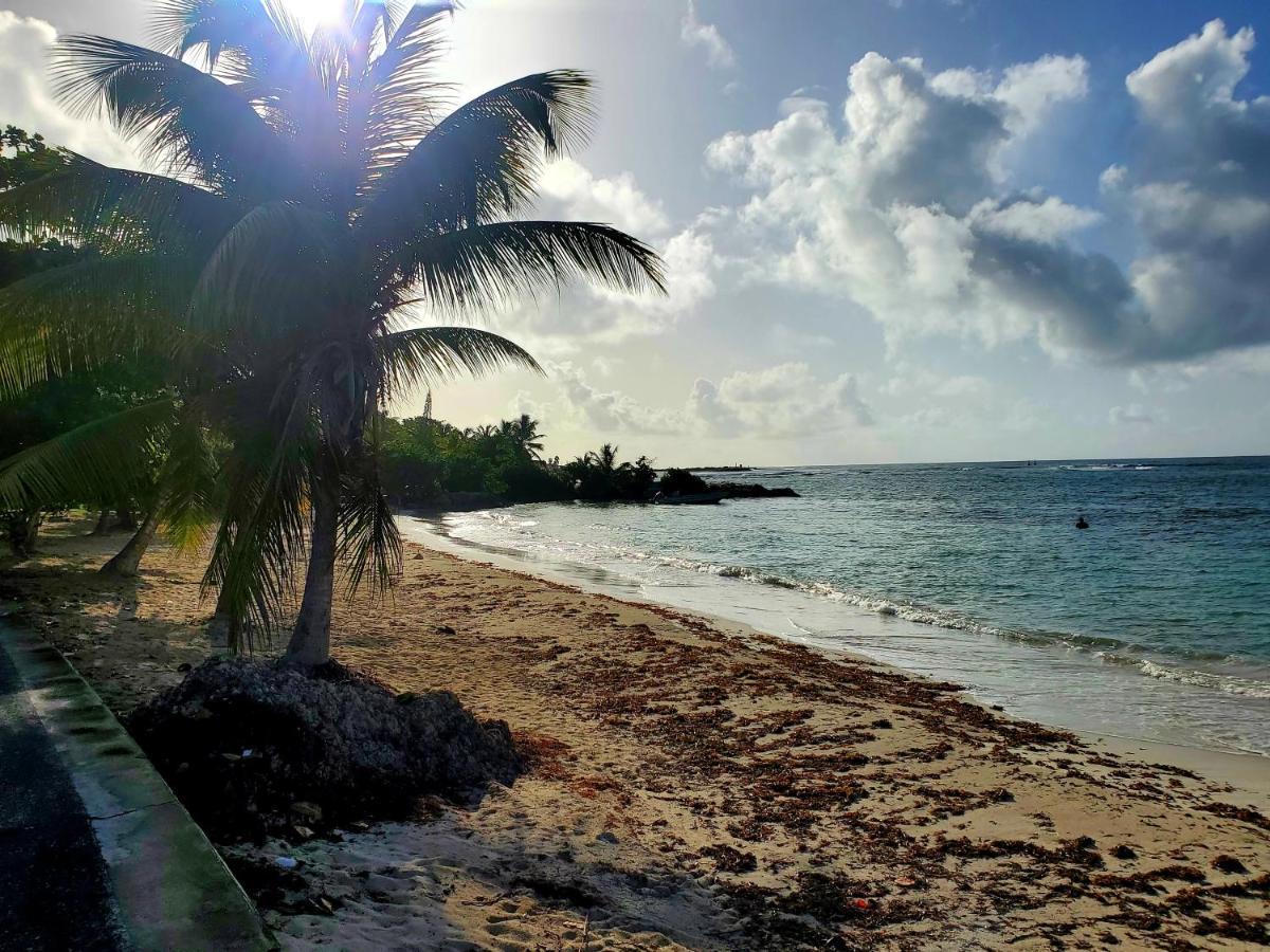 Bungalow l'Anjou Créole Sainte Anne Guadeloupe Exterior foto