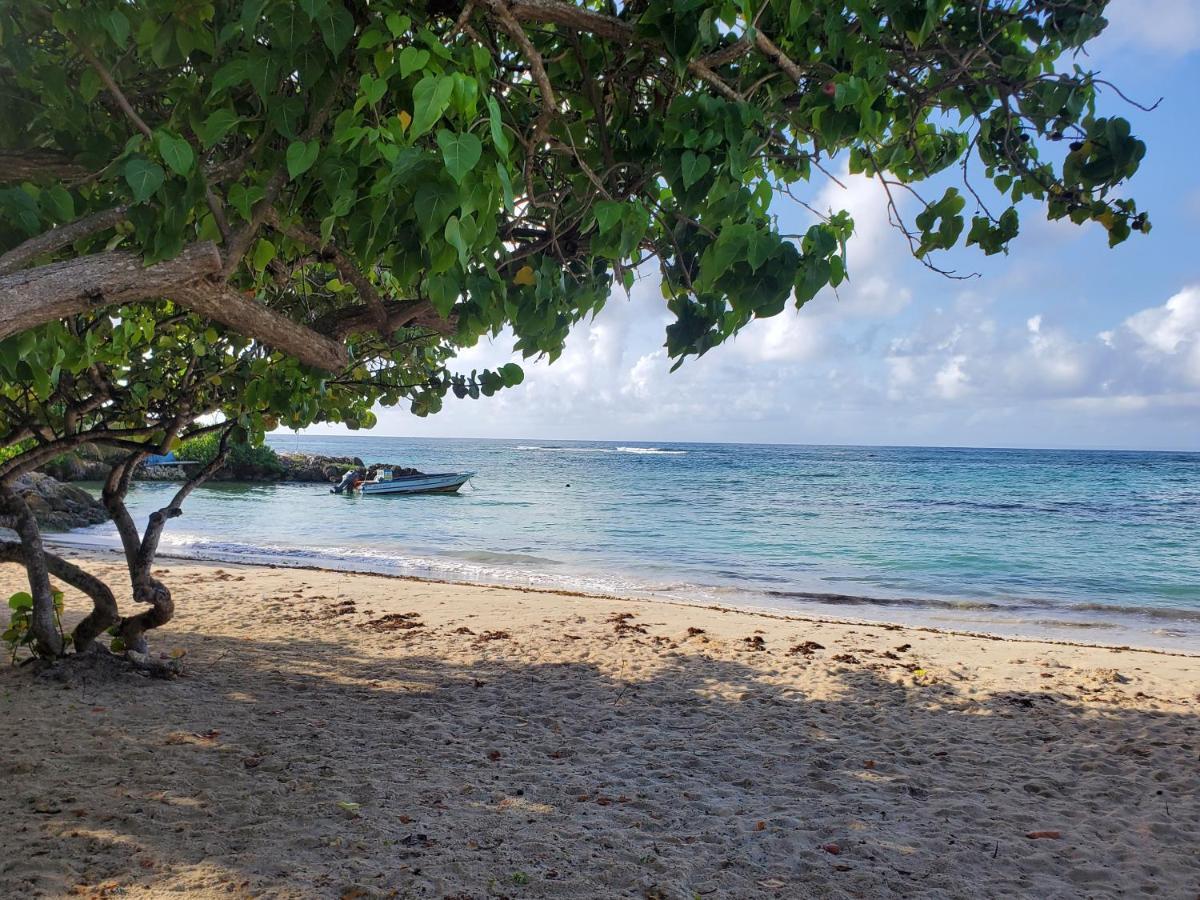 Bungalow l'Anjou Créole Sainte Anne Guadeloupe Exterior foto